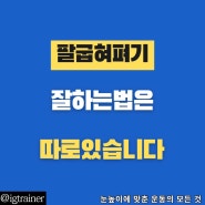 팔굽혀펴기 잘하는 법 직접 효과 봤던 비법