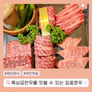 하단 한우 고급 분위기 맛집 소고기 먹을 땐 집중호우(feat.회식)