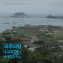 제주도여행! 9월, 10월 가볼만한곳 동쪽오름 성산일출봉뷰, 우도뷰, 종달리뷰 <지미봉> 올레길 21코스, 난이도