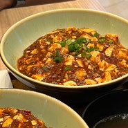 싱가포르 더 스타 비스타 맛집 마라맛 마파두부 Chen's Mapo Tofu