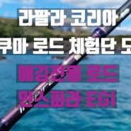 라팔라 코리아 오쿠마 인스피라 EGI 에깅 전용 로드 체험단 모집