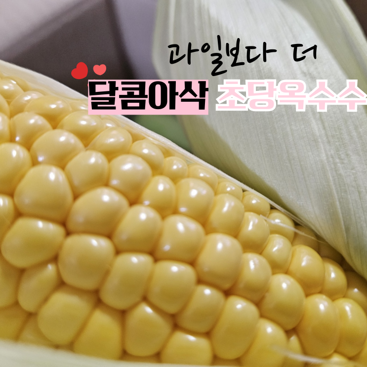국산 프리미엄 초당옥수수 : 네이버 블로그