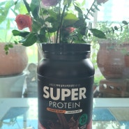 단백질보충제 프로틴 충전은 쉐이크베이비 슈퍼 프로틴 보충제 초코맛으로