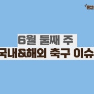 6월 둘째 주 국내&해외 축구 이슈 정리(6.3~6.9)