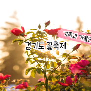 6월 7월 경기도 꽃축제 온 가족이 가볼만한곳 리스트