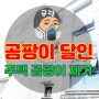 주택 곰팡이 제거 창문 벽 해결하기