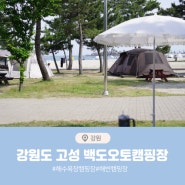 고성 바닷가 캠핑장 백도오토캠핑장 A-11번, 백도수산 가리비