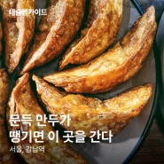 강남역맛집 | "문득 노릇노릇한 군만두가 땡긴다면 이 곳으로" by 태슐랭가이드