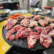 [대전/봉명동]마포숯불갈매기 도안점 야외 테이블 고기 맛집