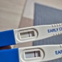 유산 후 임신준비 임신테스트기 호르몬빠지는 시기
