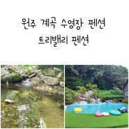 원주 계곡 펜션 트리밸리펜션 수영장 계곡 모두 있는 곳 이렇게 깨끗한 펜션은 처음