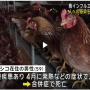 鳥インフルエンザ「H5N2型」人間への感染を初確認　男性は死亡　牛の感染も広がる | 조류독감 ‘H5N2형’ 인간에의 감염을 첫 확인 남성은 사망, 소의 감염도 확산되다