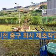 인천 중구 회사 제초작업 제초제 근사미 살포