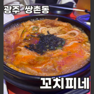 광주 서구 쌍촌동맛집 │10번이상 방문한 '꼬치피네' (구)까투리