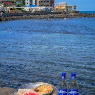 제주도 여행 애월 카페거리 맛집 흑돼지 전문점 금돈가