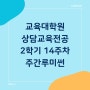 상담심리교육대학원 [42] 2학기 수업 14주 차 '주간루미썬'