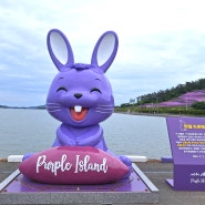 〈전남 신안군 – 어른들을 위한 동화 속 보랏빛 세상 - 신안 퍼플 섬(Purple Island Sinan)〉