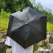 [3단 수동 양우산/벨라] 180g 포켓 플랫 초경량우산 by 소씨