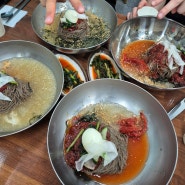 아현역 맛집 봉평메밀막국수 서대문 여름에 먹기 좋은 음식