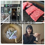서울 상암동 맛집 숯불 한우 상암동 고기 맛집 배꼽집