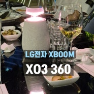 LG전자 이정석전무 무선스피커 XO3 항상 챙긴다