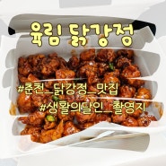 춘천 닭강정 육림닭강정 생활의 달인 맛집 조청닭강정 중간맛 후기