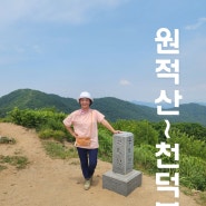 [산수유 필때 가면 좋은 이천 원적산~천덕봉 등산 코스로의 산행] 경기 이천 2024. 6. 6. 목