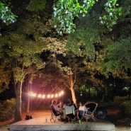 광주 첨단 시민의 숲, 초대 캠핑, 캠크닉, 그늘이 자리한 C45