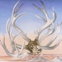 <조지아 오키프> 뉴멕시코: 동물 뼈