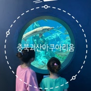 충북 괴산여행 수산파크 신상 아쿠아리움, 무료 오픈!괴산 자연드림 근처 가볼만한 곳 아이와 물고기 탐방!