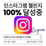 성장리추얼 우경마 인스타그램 챌린지 100% 달성중