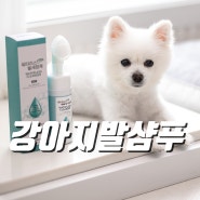 아이몬펫 시카 워터리스 샴푸 강아지발세정제 사용 후기