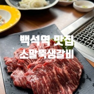 일산 백석역 맛집 소말뚝생갈비 고기집 맛나요