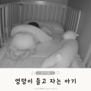 엉덩이 들고 자는 아기 엎드려자는 자세 4가지 이유