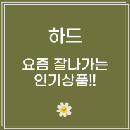 [하드] 내돈내산 후기정보 | 메로나 (냉동), 600ml, 1개