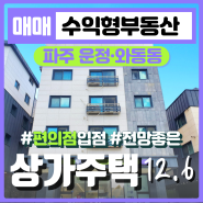 운정 와동동 편의점 품은 상가주택 매매