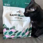 꼬뜨 샌드 벤토나이트 고양이모래 블랙, 냄새 잘 잡아주는 모래