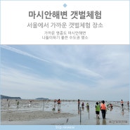 서울에서 가까운 갯벌체험 마시안해변갯벌체험