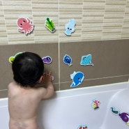 목욕놀이장난감 상상아띠 무한 접착 EVA 물놀이 스티커
