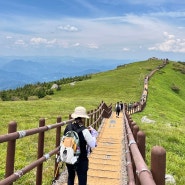 [산림청 100대 명산] #29 소백산국립공원 비로봉 어의곡탐방로 등산 코스