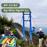 화순 백아산 하늘다리 등산코스 초보 후기