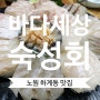 노원 숙성회 맛집 바다세상은 오마카세 스타일