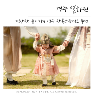 경주 한옥스튜디오 설화원 경주 돌사진 찍고 왔어요