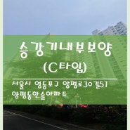 양평동한솔아파트 C타입 승강기보양재 내부 (승강기보호패드) 설치 후기[현대엘리베이터]