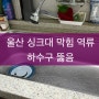 울산 싱크대 막힘 하수구 뚫음 전문 기사입니다!