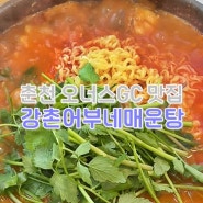 강촌 오너스 맛집 닭갈비 지겨우니까 어부네매운탕 얼큰하게