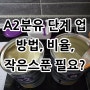 A2 분유 소량스푼 필수! 단계업 1단계에서 2단계 넘어가기 비율 작은스푼 신청방법