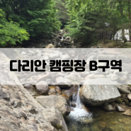 가족여행으로 좋은 다리안 캠핑장 여행 후기_단양