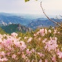 봄과 여름 그 사이, 설악산~(2024.6.6.)