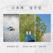 해보고 싶던 건 다 해봐야지 ✨ :: WEEK 23